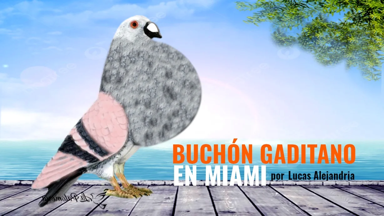 El Buchón Gaditano en Miami – La Palomeria